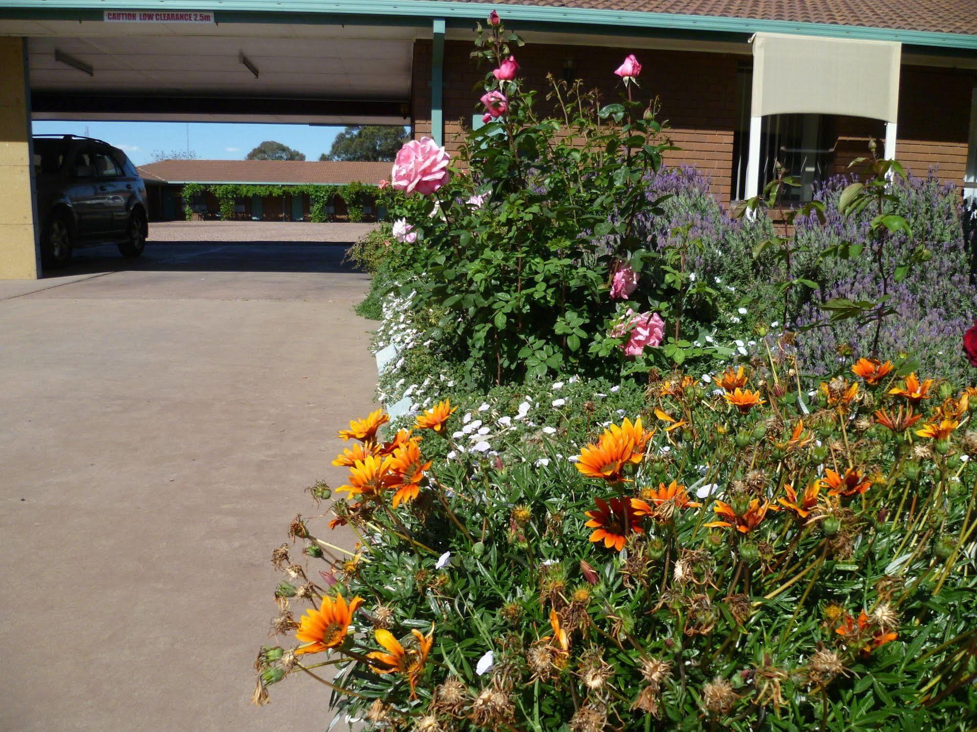 Birch Motel Tocumwal Extérieur photo